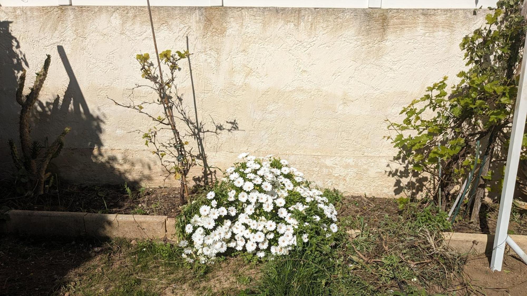 Maisonnette Kalis Calme Avec Climatisation Parking Jardin Cadre Campagne Plages A Pieds Bandol Kültér fotó